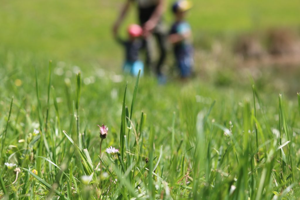 arboretum petits bonheurs blog famille vlog video youtube thereseandthekids