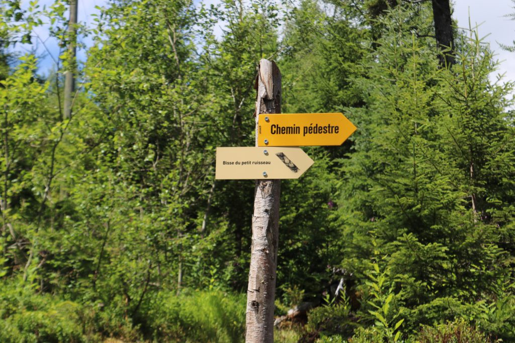 VAL ARPETTE BISSE PROMENADE THERESEANDTHEKIDS