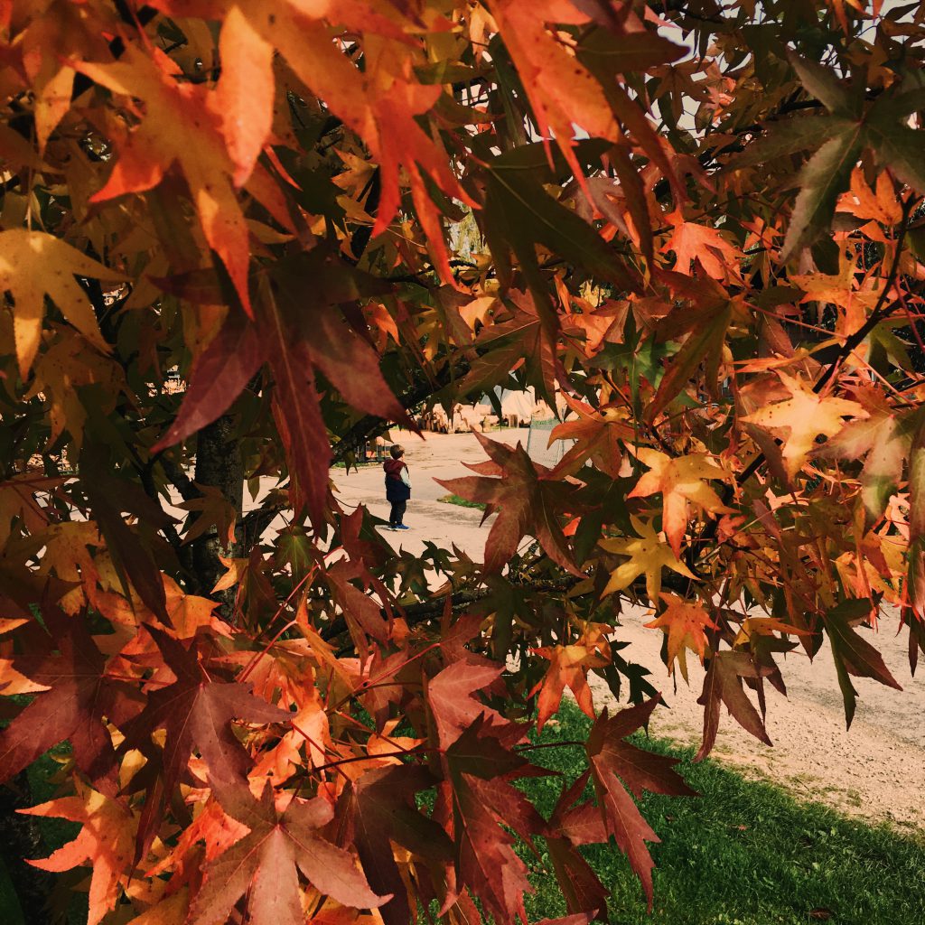 chasse au trésor automne blog thereseandthekids famille