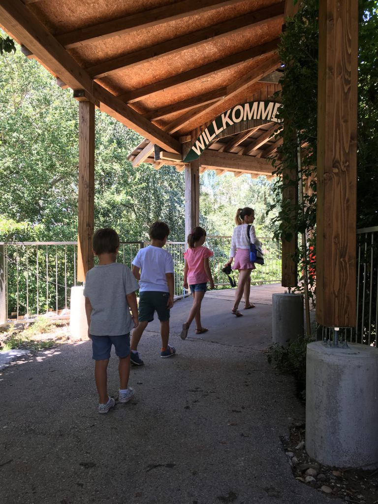 suisse blog papiliorama thereseandthekids railaway