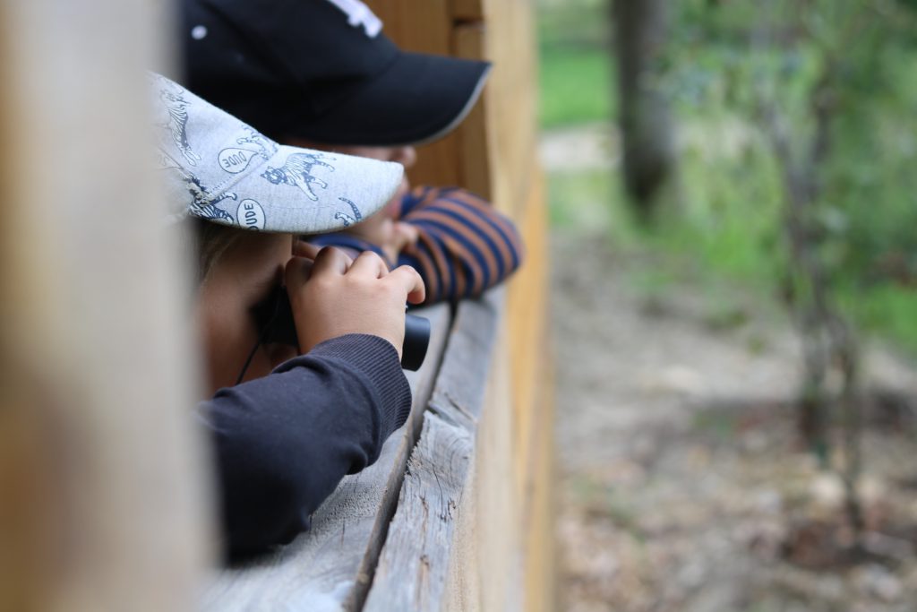 jardin mineurs blog parcours educatif enfant blog thereseandthekids